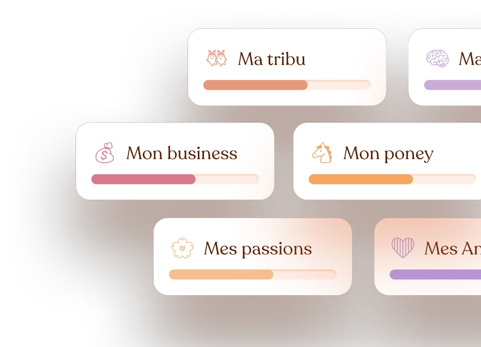 Interface de sélection des domaines de vie